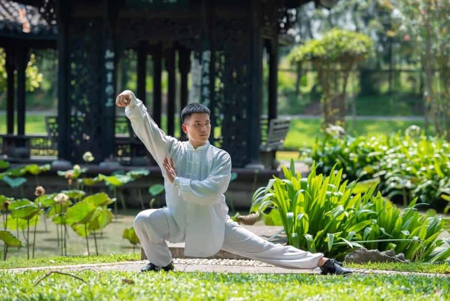 tai chi chuan